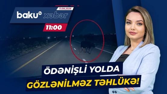 Bakı-Quba yolunda təhlükə: Sürücülər qəzadan necə qaçsın? - Baku TV CANLI