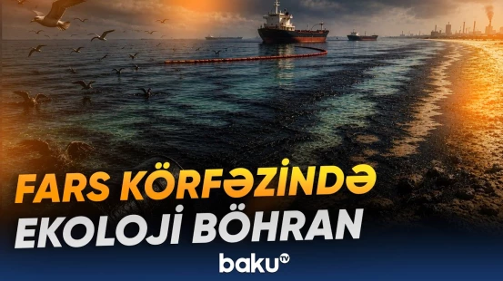 Fars körfəzində neft sızması sahilləri ciddi ekoloji təhlükə qarşısında qoydu - Baku TV