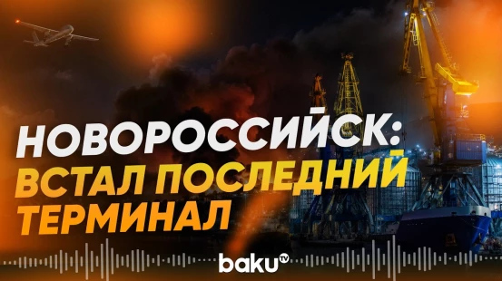 В Новороссийске парализованы все зерновые терминалы - Baku TV | RU