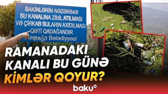 Sakinləri bir yandan sahibsiz itlər qorxudur, bir yandan da... | Narazılıq yaradan hadisə - Baku TV