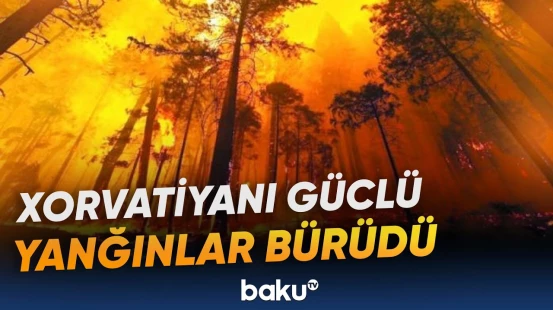 Xorvatiyada meşə yanğınları güclənib | Alov yaşayış məntəqələrinə doğru sürətlə irəliləyir - Baku TV