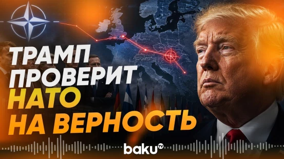 Трамп протестирует страны НАТО на лоялность его политике - Baku TV | RU