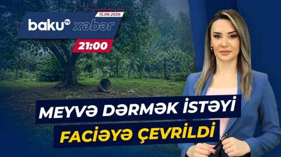 Astarada bədbəxt hadisə | Əncir dərmək istəyən kişi necə öldü? - Baku TV CANLI