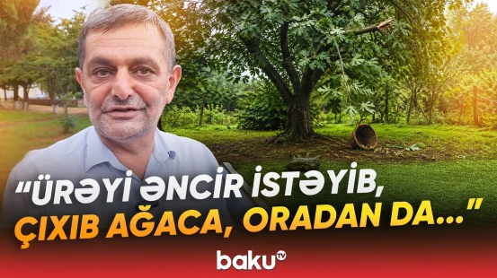 Əncir dərmək istəyən 60 yaşlı kişi həyatından oldu | Astarada dəhşətli hadisə - Baku TV