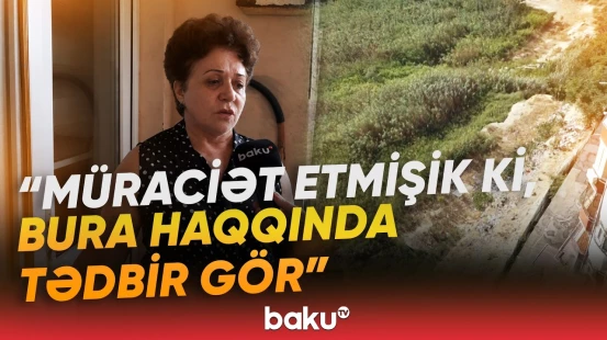 "Antisanitariya baş alıb gedir" | Sahibsiz qalan ərazi təhlükə mənbəyinə çevrilib - Baku TV