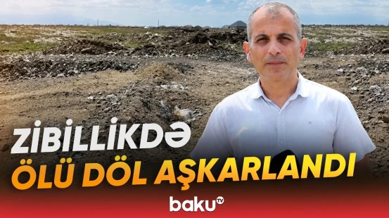 Gəncədə tükürpərdən hadisə | Tullantılar içərisində ölü döl tapıldı - Baku TV