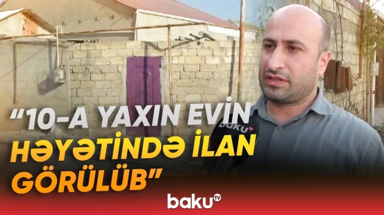 "İki dəfə gürzə öldürüblər" | Sakinləri qorxudan gözlənilməz təhlükə - Baku TV