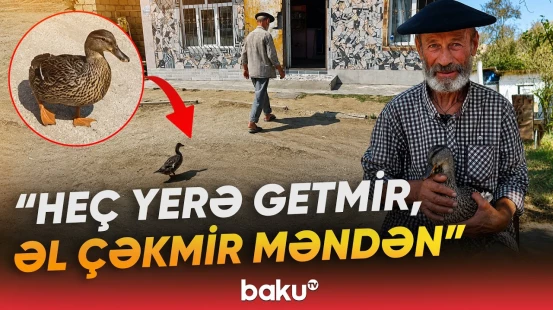 "Belə şey görməmişdim" | Lənkəranda qeyri-adi hadisə | Ancaq yatanda... - Baku TV