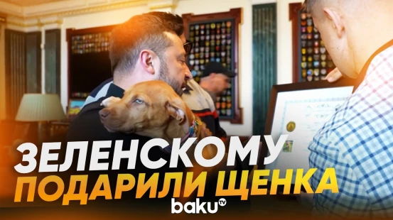 Кроуфорд подарил Зеленскому щенка по кличке Фрейя, в честь будущей системы ПВО - Baku TV | RU
