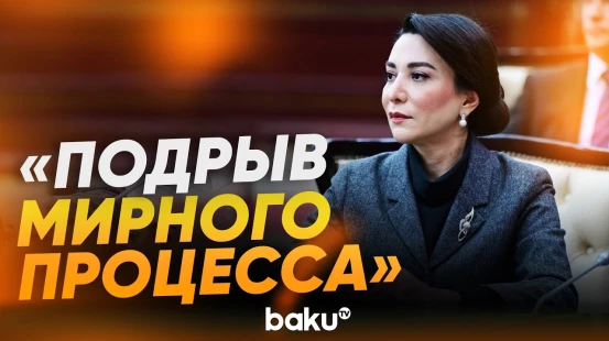 Омбудсмен Сабина Алиева жестко ответила на заявления правозащитника Армении - Baku TV | RU