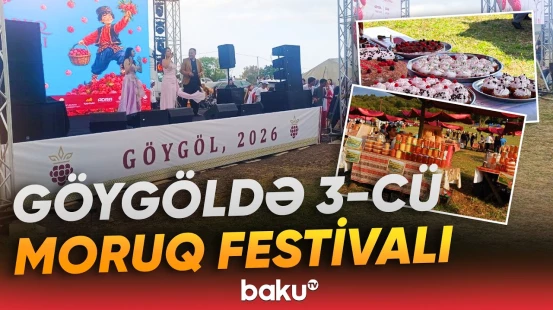 Göygöl rayonunda III Moruq Festivalı təşkil olunub | Sərgidə nələr nümayiş edildi? - Baku TV