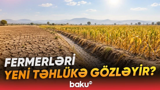 İqlim dəyişikliyi kənd təsərrüfatına necə təsir edir? - Baku TV