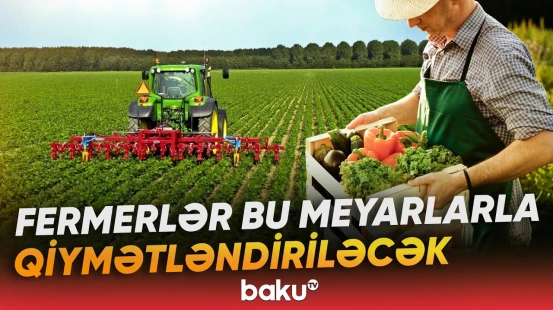 Azərbaycanda fermer reytinqinin tətbiqinə başlanılır - Baku TV