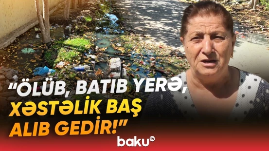 "Hamısı evin altındadır, uçsa, kim kömək edəcək?!" | Sakinləri boğaza yığan problem - Baku TV