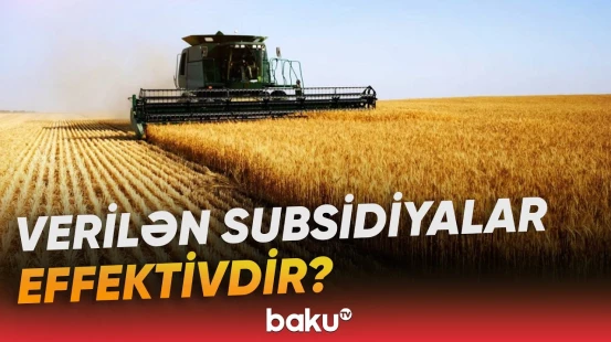 Kənd təsərrüfatı üzrə subsidiyalardan kimlər yararlana bilmir? - Baku TV