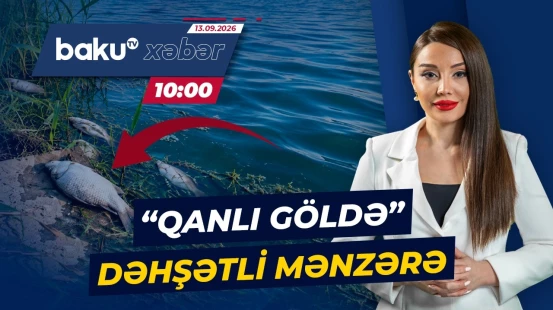 Balıqların tələf olması ilə bağlı diqqətçəkən səbəblər - Baku TV CANLI