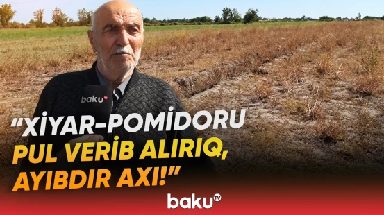 “Çox acınacaqlı vəziyyətdəyik” | Əkin sahələri susuzluqdan məhv olan sakinlər şikayətçidir - Baku TV