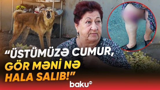 "Neçəsini kürəkənim tutub, pul verib ki..." | Əhali dəhşət içində yaşamaqdan təngə gəlib - Baku TV