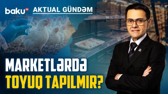 Kütləvi xəstəlik iddiası: Toyuq qıtlığının əsl səbəbi budur? - AKTUAL GÜNDƏM