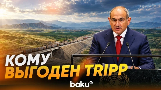 Пашинян рассказал в ООН о взаимодействии с Азербайджаном и перспективах TRIPP - Baku TV | RU