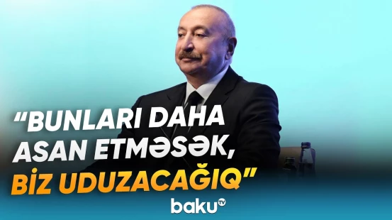 "Burada çox böyük potensial var" | Prezident investorları maraqlandıran sahələrdən danışdı - Baku TV