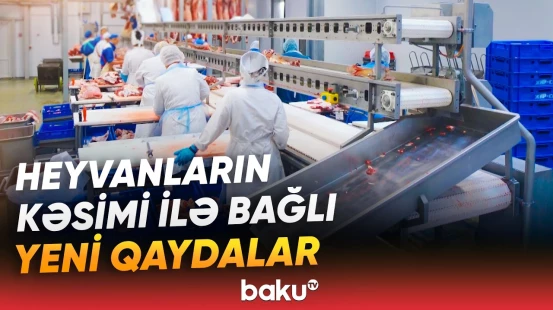 “Qəssab 10 dəfə çox sata bilər?” | Heyvanların kəsimində yenilik | Subsidiya verilsə də... - Baku TV