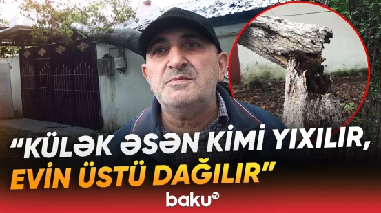“Xeyli ziyan vurdu bizə” | Lənkəranda dolu və güclü külək ağır fəsadlar törətdi - Baku TV