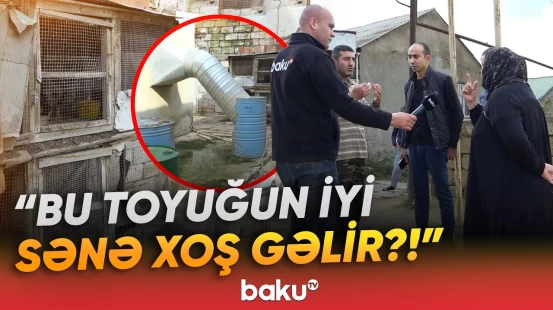 Quşçuluq ferması ilə bağlı şikayət: Sakinləri kəskin qoxu narahat etdi - Baku TV