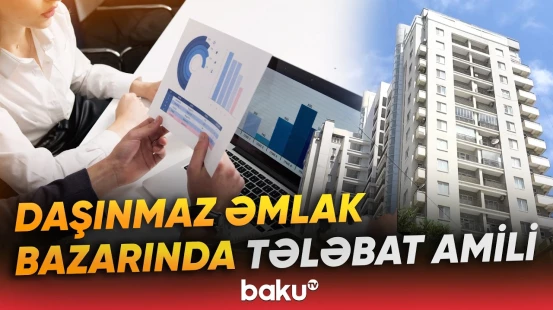 Borclanmanın artması hansı riskləri yarada bilər? - Baku TV