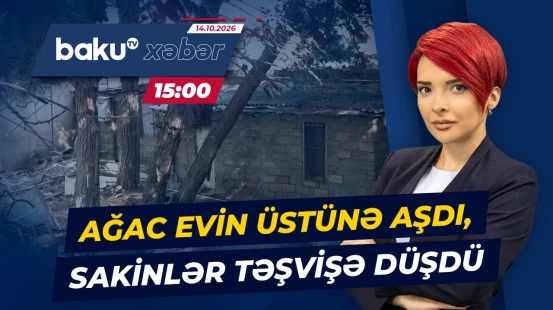 Bakıxanovda qurumuş ağacların yaratdığı təhlükə - Baku TV CANLI
