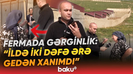 Novxanıda ferma qalmaqalı | Sakinlərin narazılığına səbəb olan problem nədir? - Baku TV