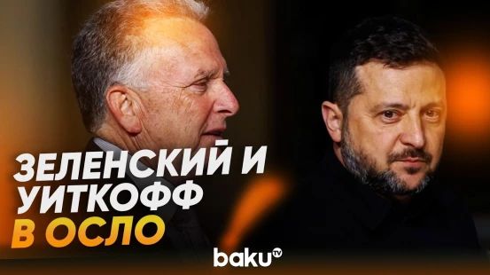 Зеленский и Уиткофф прибыли в Норвегию для переговоров - Baku TV | RU