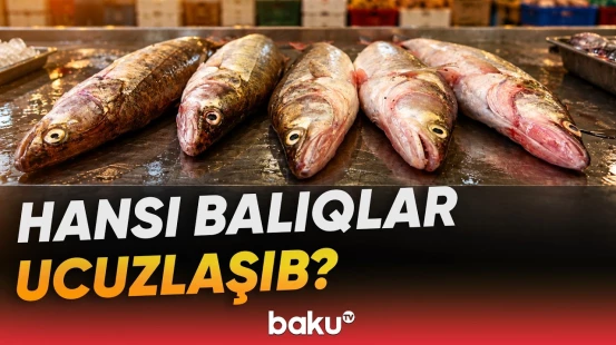 Mövsümi balıqların qiyməti alıcıları qane edirmi? | Bazarda vəziyyət necədir? - Baku TV