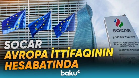 Şirkət qeyri-neft sektorunun ixracyönümlü sahələrinə investisiya yatıra bilər - Baku TV