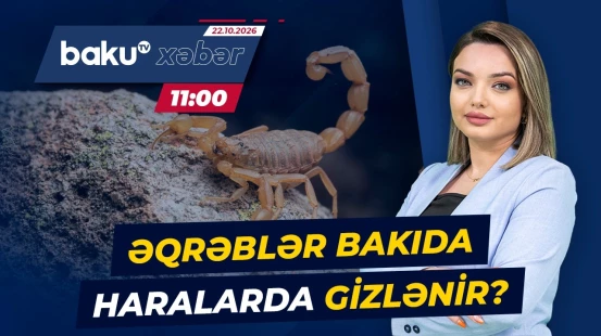 Əqrəblər Bakıda 2 nəfəri xəstəxanalıq etdi: Mütəxəssislərdən təcili xəbərdarlıq - Baku TV CANLI