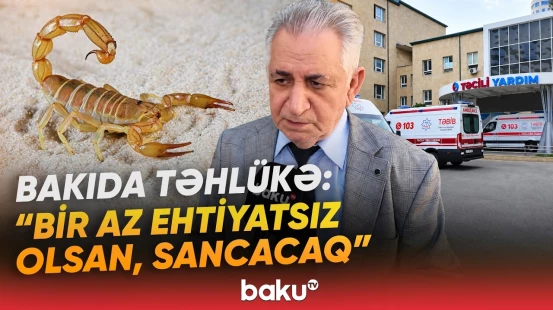 “Gecələr gizləndikləri yerdən çıxıb...” | Əqrəb sancan zaman ilk nələr edilməlidir? - Baku TV