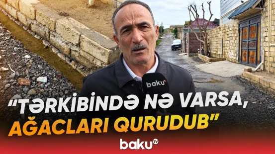"Bütün həyətlərdan su çıxır" | Novxanı sakinlərinin kanalizasiya problemi - Baku TV