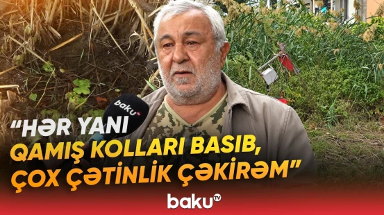 Biləcəri sakinin torpaq sahəsini kimlər bataqlığa çevirib? - Baku TV