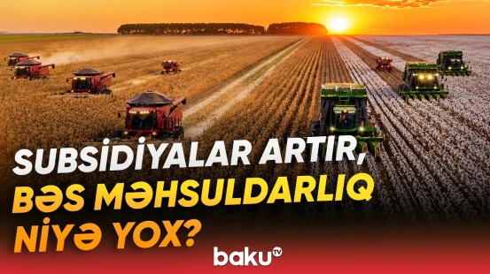 Aqrar sektorda səmərəlilik problemi | Dövlətin köməyi niyə iqtisadi artıma çevrilmir? - Baku TV
