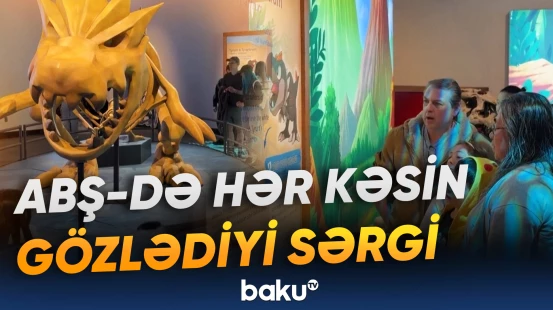 Çikaqoda “Pikachu Pokemon” muzeyində sərgi keçirilib