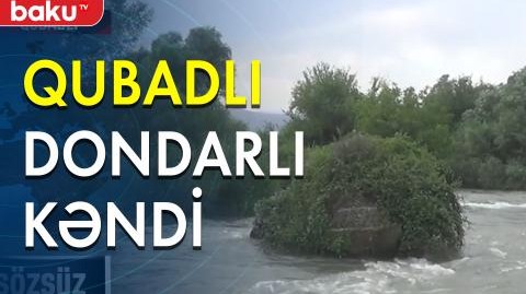 Qubadlı rayonunun Dondarlı kəndi - Baku TV