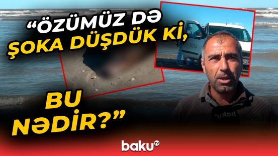 Xəzər sahillərindəki bu hadisə hamını şoka saldı | Qurum təcili hərəkətə keçdi
