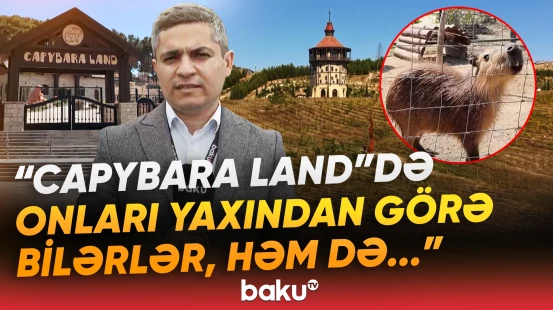 Şamaxıda "Nəsimi Bağları" kompleksi | “Nəsiminin 21 metrlik abidəsi xüsusi diqqət çəkir” - Baku TV