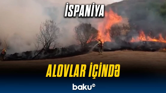 İspaniyadakı meşələr alova təslim oldu