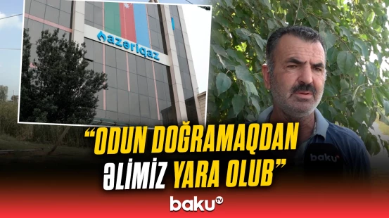 Sabirabad sakinləri niyə meyvə ağaclarını kəsməyə məcbur qalıb?