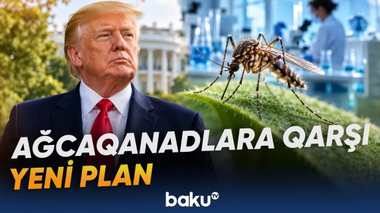 Tramp administrasiyası ağcaqanadların sayını kəskin azaltmaq üçün yeni qərar verib