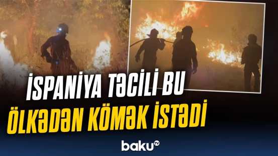 İspaniyada yanğın fəlakəti niyə yaşandı? – Hökuməti hərəkətə keçirən hadisə