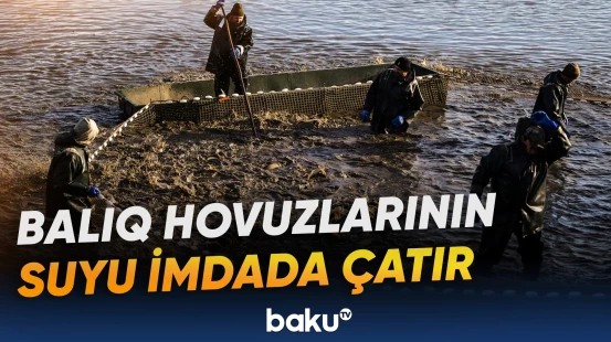 Balıq hovuzlarının suyundan quraqlığa qarşı mübarizədə istifadə olunur