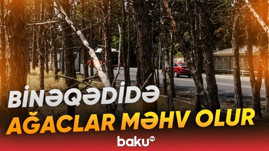 Aidiyyəti qurumların biganə yanaşdığı məsələ