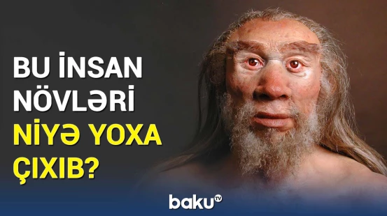 Alimlərdən heyrətləndirən araşdırma | 100 min il əvvəl elə şeylər olub ki...